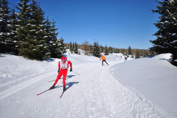 Hotel Anna Harrachov Esterno foto